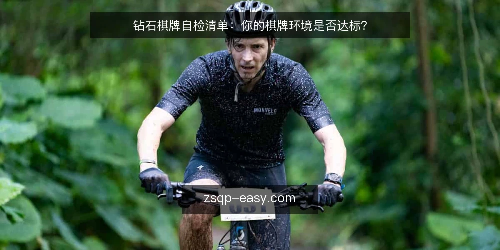 钻石棋牌自检清单:你的棋牌环境是否达标? — 为何现在做一次棋牌环境自检 配图